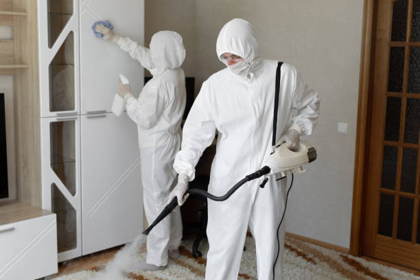 Certified Mold Removal in Santaquin, UT