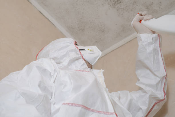 Best Emergency Mold Removal  in Santaquin, UT